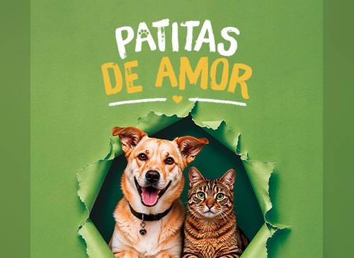 Patitas de amor con Amigo Fiel