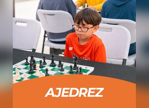 Ajedrez