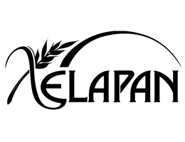 Logo de Xelapan